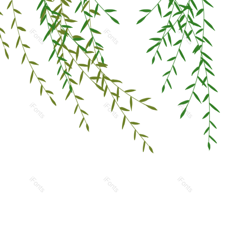 叶子图片,夏天元素,端午节PNG,春天免抠素材